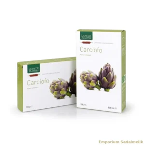 Carciofo 'Cynara Scolymus' Ampolle