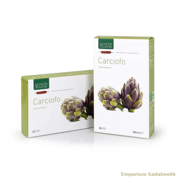 Carciofo 'Cynara Scolymus' Ampolle