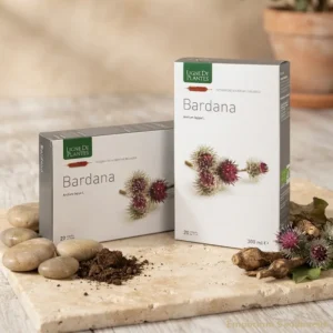 bardana ampolle senza alcool ligne de plantes su tavolo