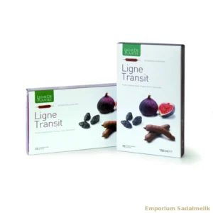 Ligne Transit