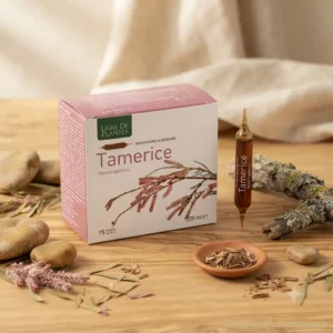 tamerice fiale ligne de plantes su tavolo
