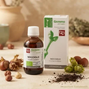 Nocciolo macerato da pianta fresca su tavolo